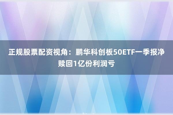 正规股票配资视角：鹏华科创板50ETF一季报净赎回1亿份利润亏
